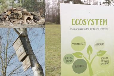 Ecosysteem: bijenhotel, egelhuisjes, doorgangen voor konijnen, vleermuis- en uilenkasten